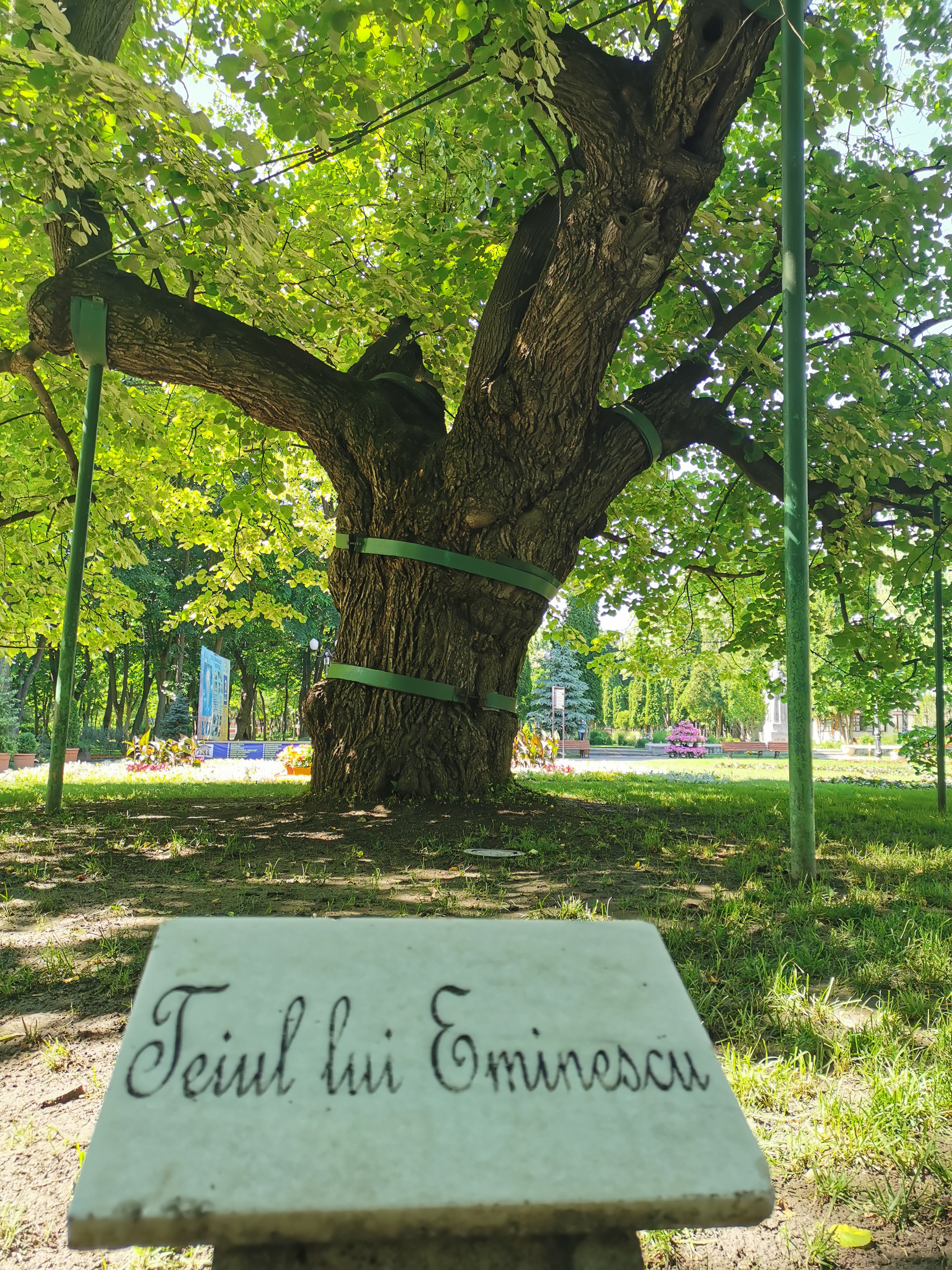 Copou Park & Eminescu’s Linden Tree (פארק קופאץ' ועץ הלינדן של אמינסקו)