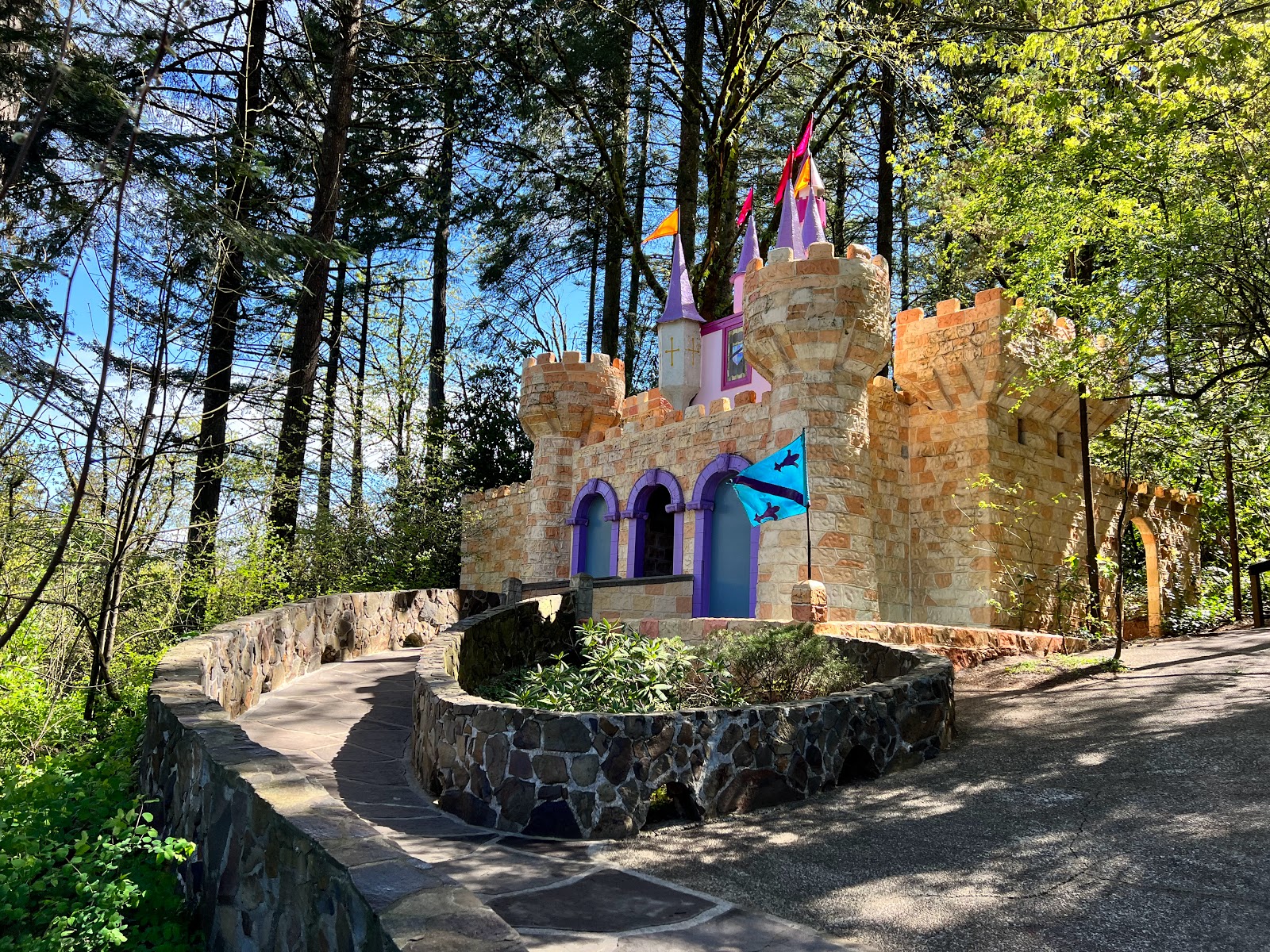 Picture for Enchanted Forest