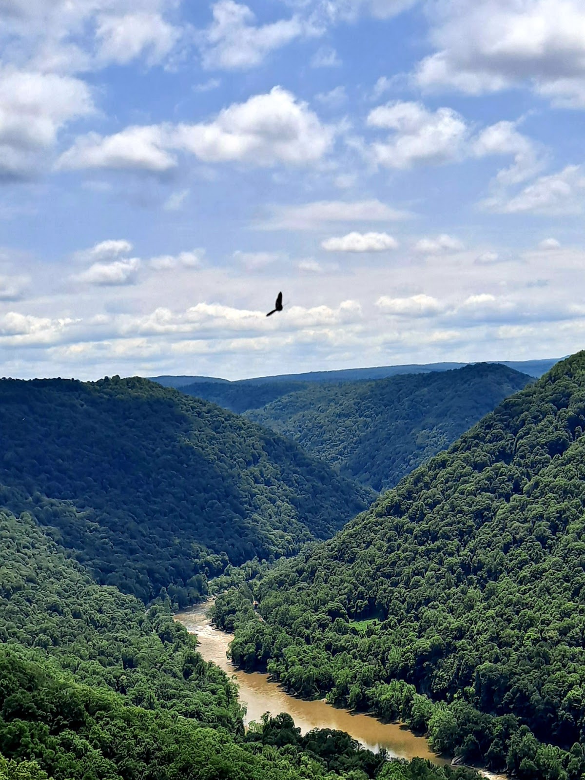 Endless Wall Trail