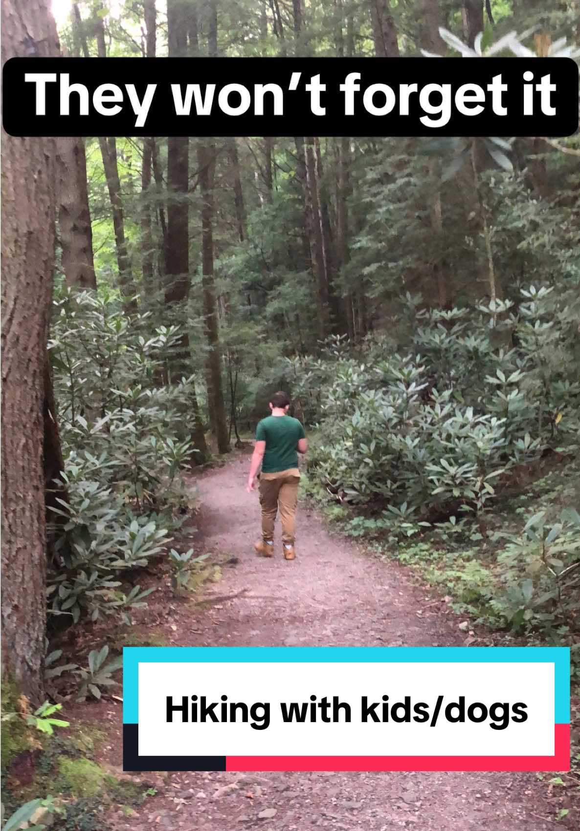 Endless Wall Trail