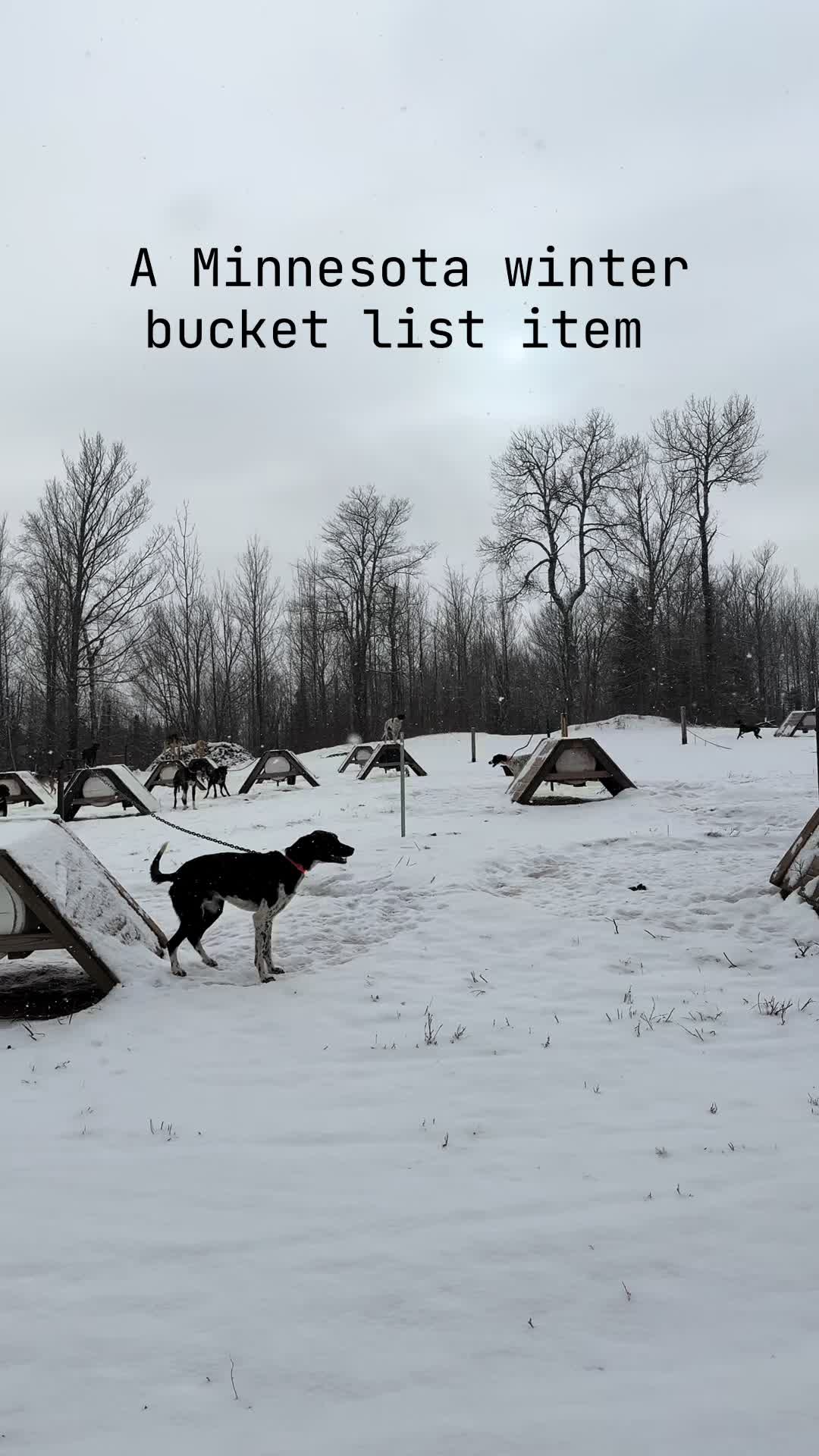 Endurance Kennels LLC