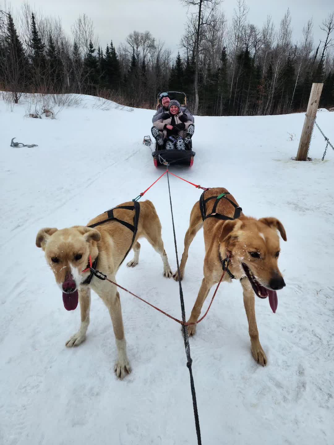 Endurance Kennels LLC