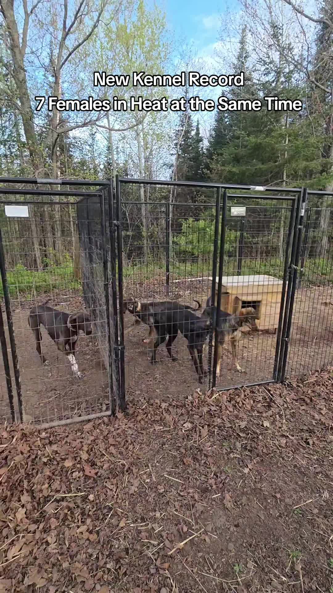Endurance Kennels LLC
