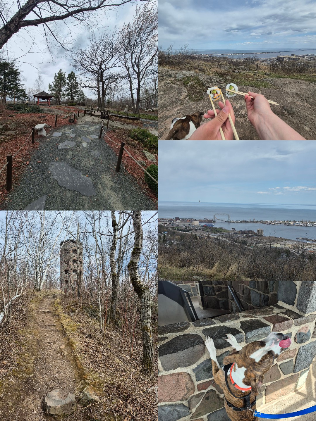 Enger Park and Tower