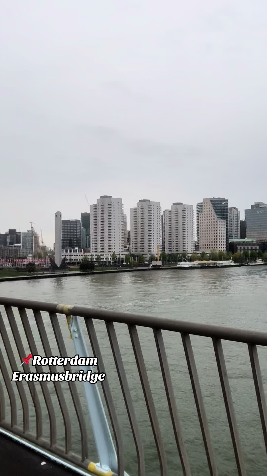 Erasmus Bridge