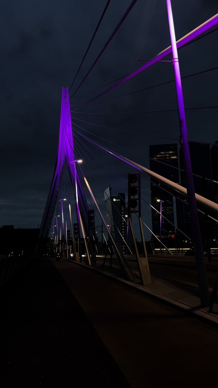 Erasmus Bridge