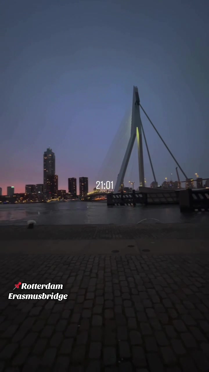 Erasmus Bridge