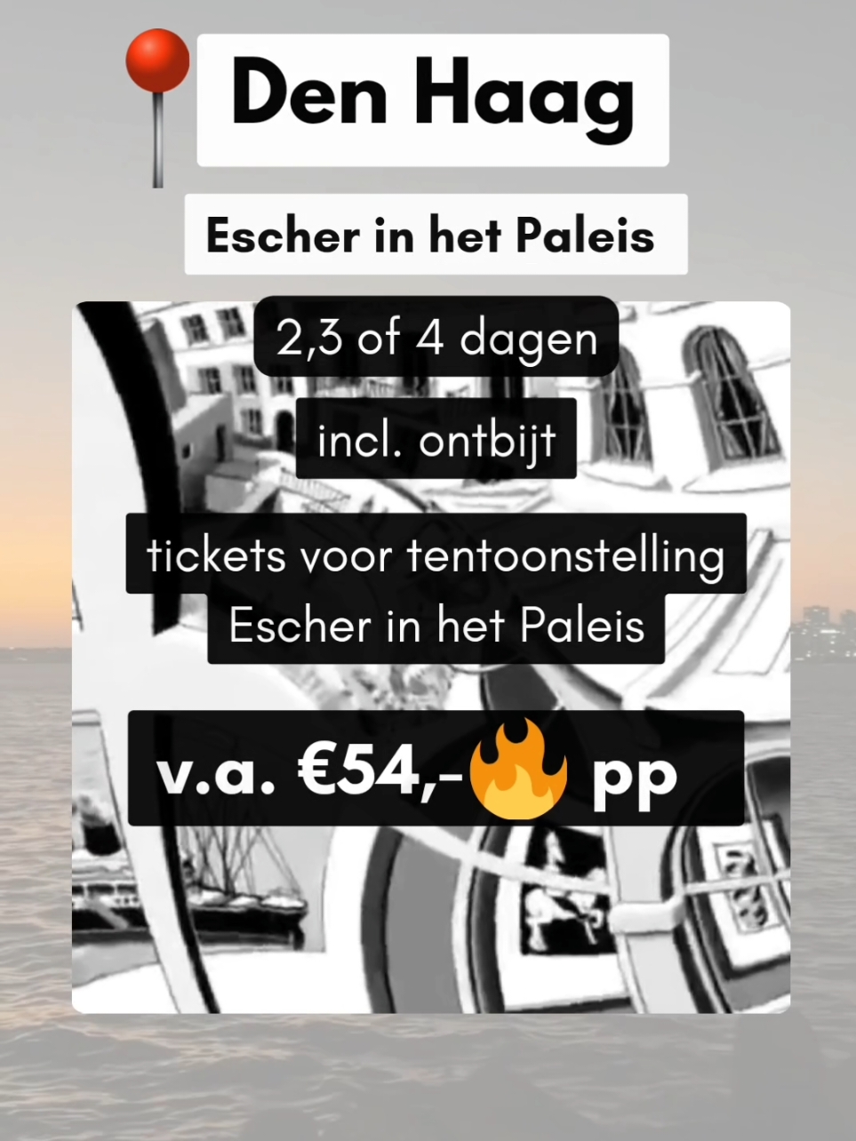Escher in Het Paleis