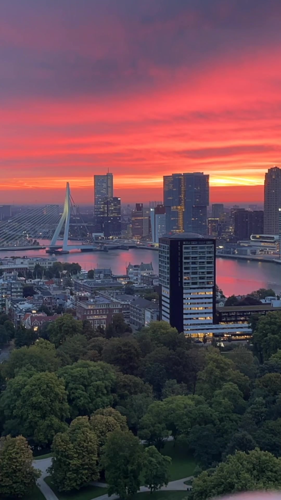 Euromast Tower