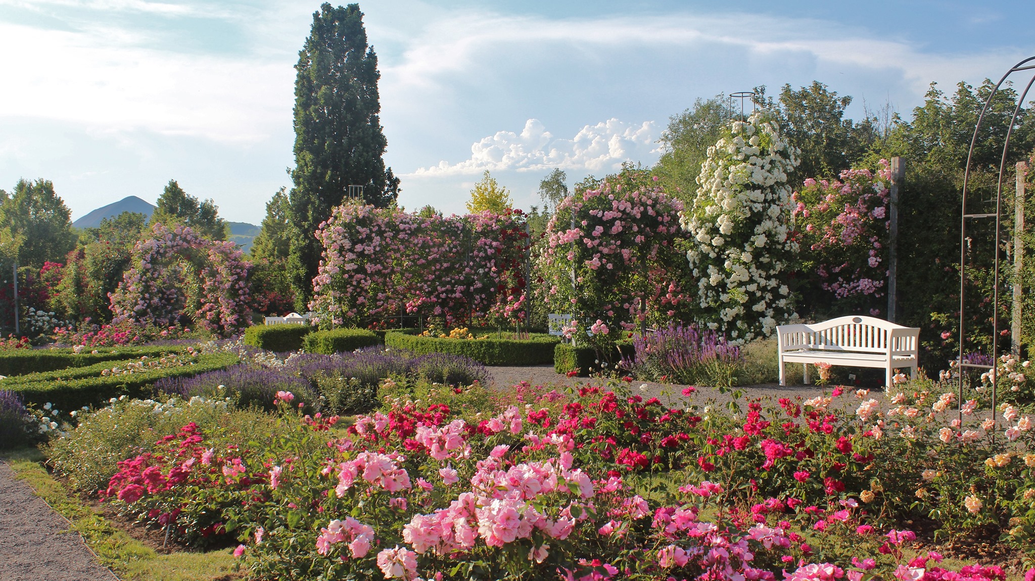 Розарий (Rosengarten)