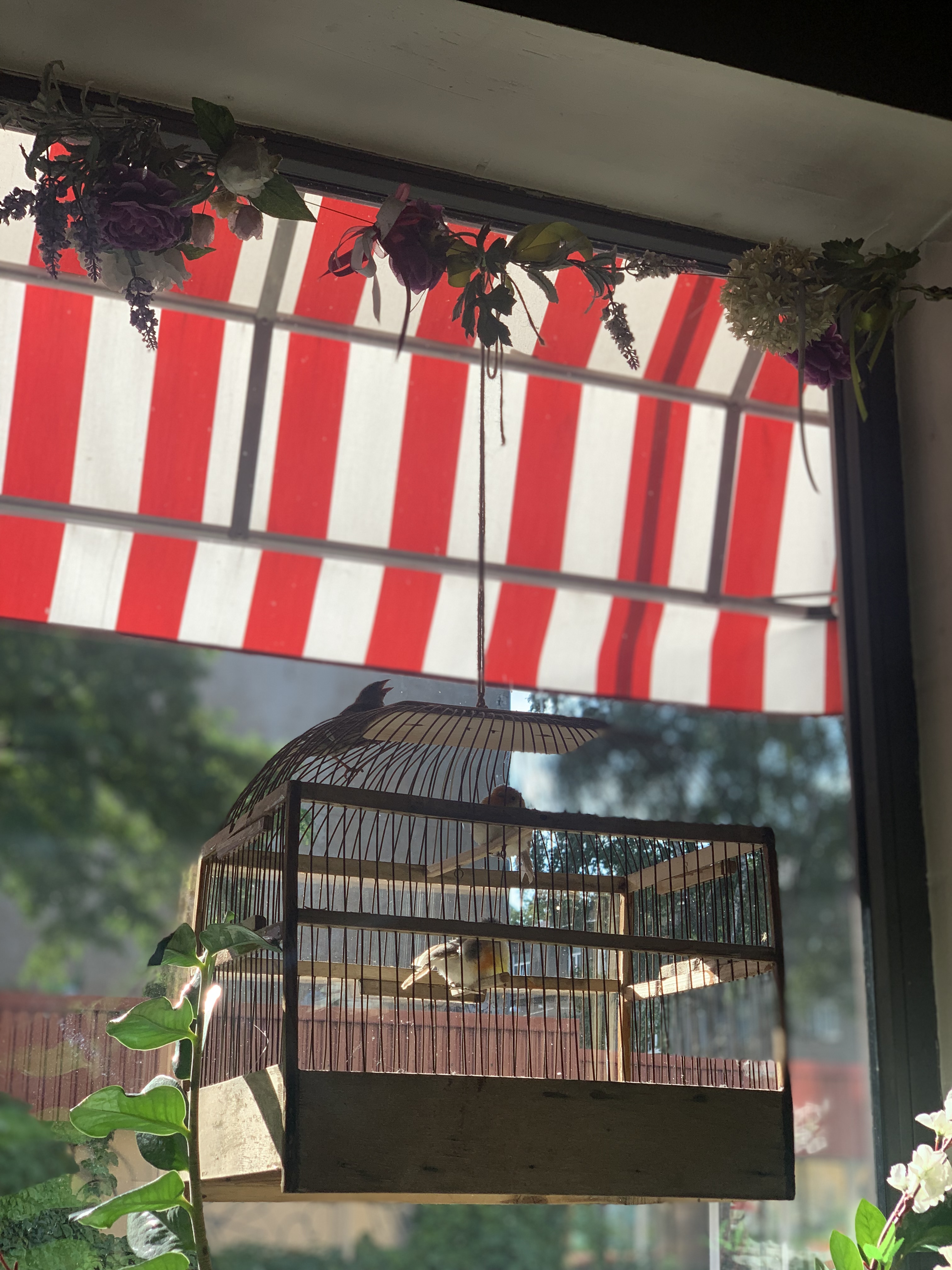 Изображение для Fazenda