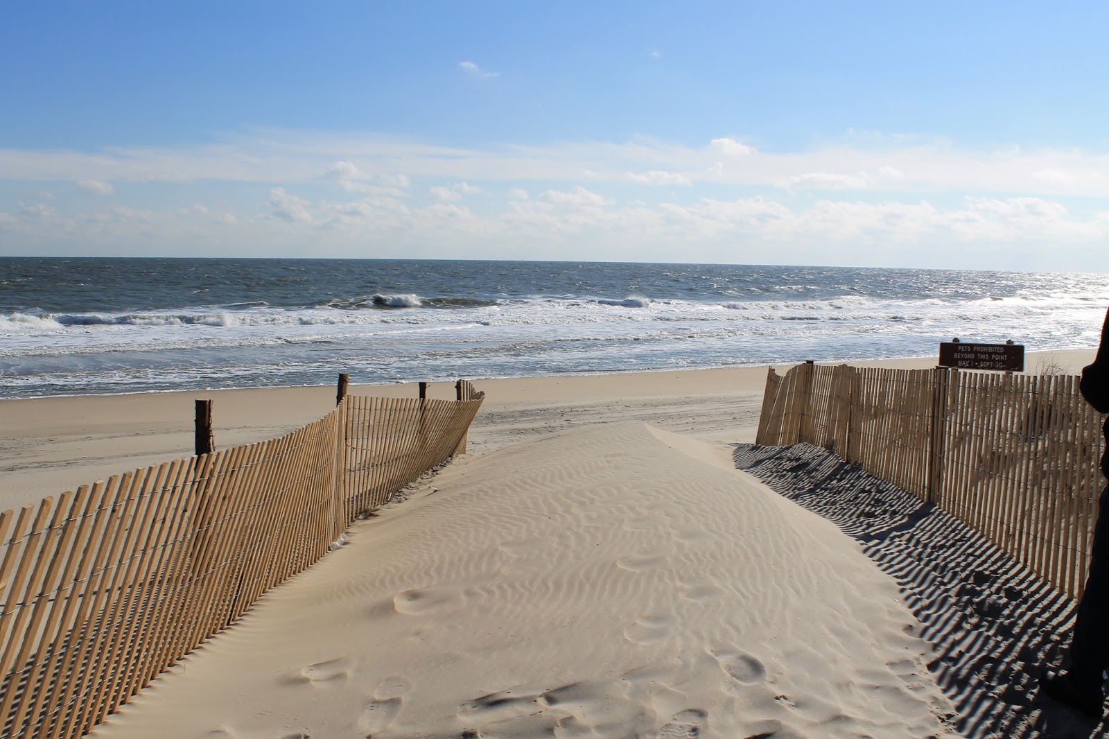 Fenwick Island State Park