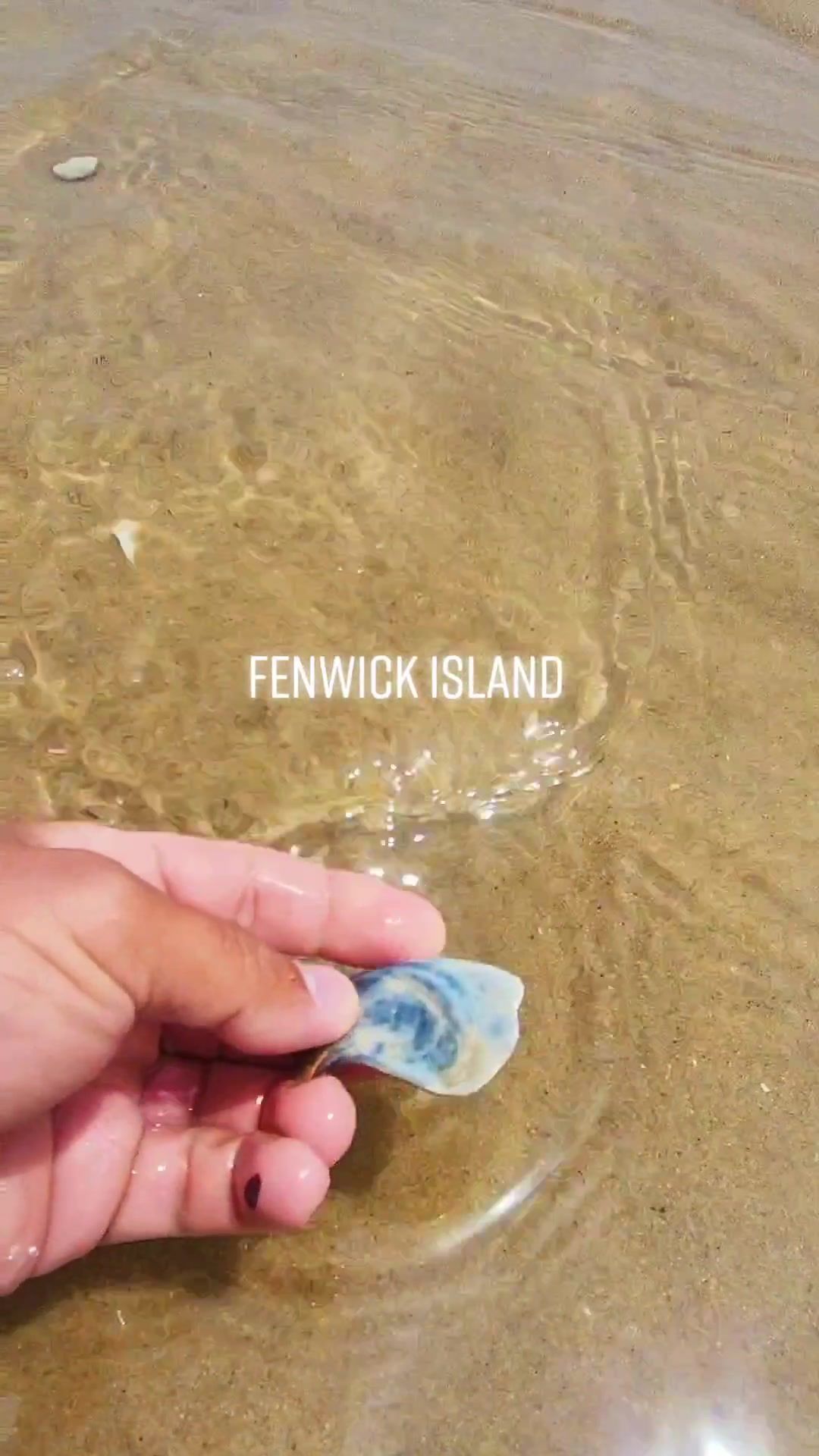 Fenwick Island State Park