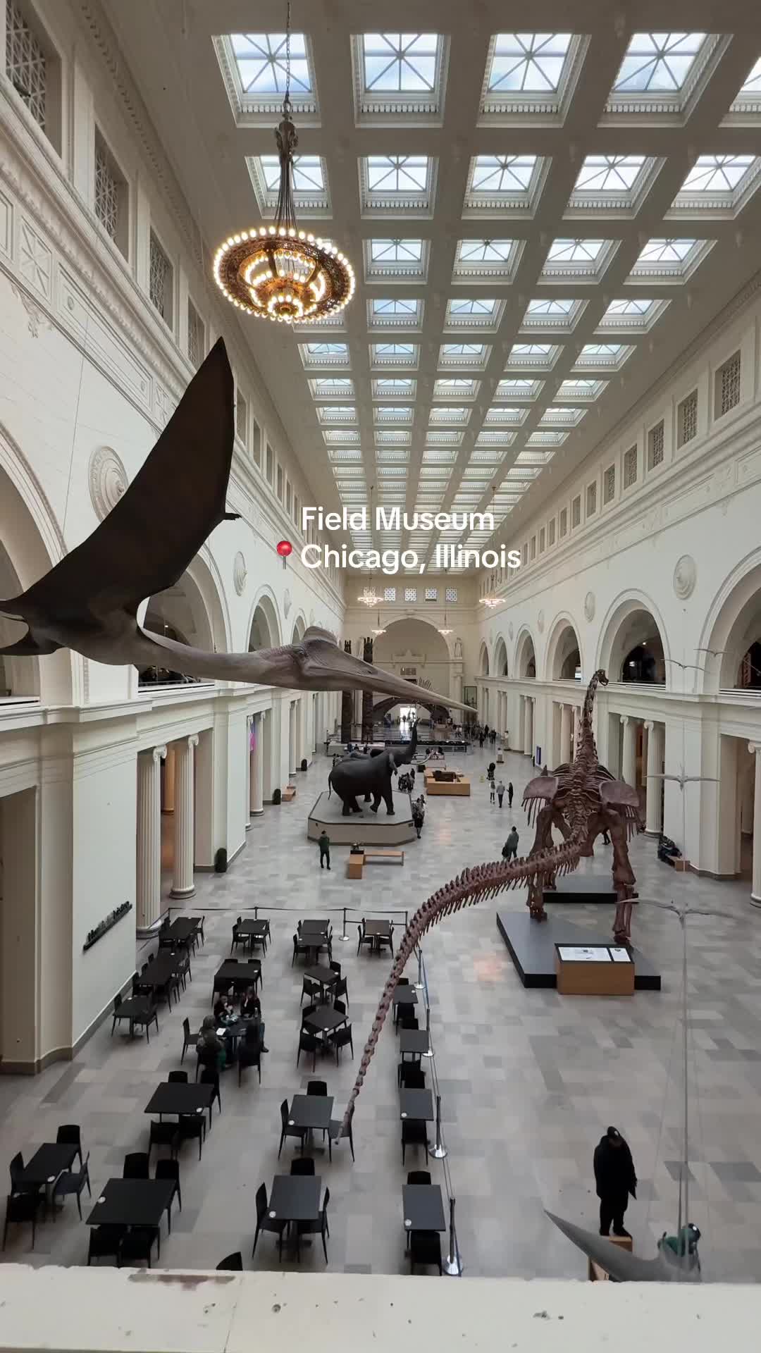 Field Museum of Natural History