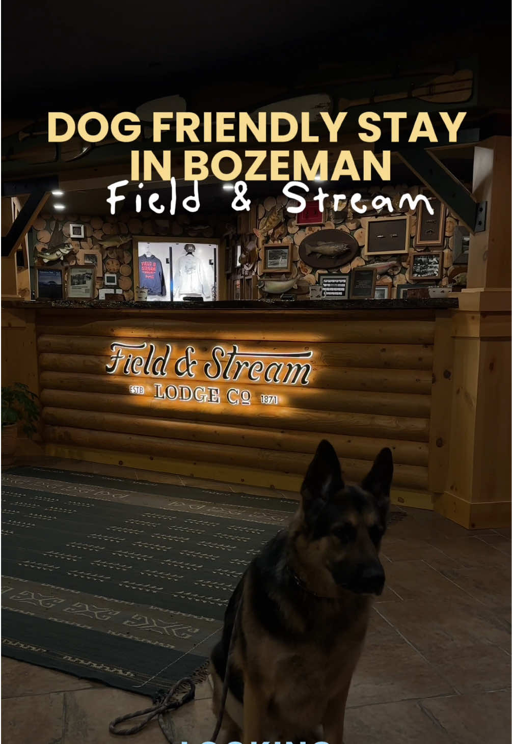 Field & Stream Bozeman