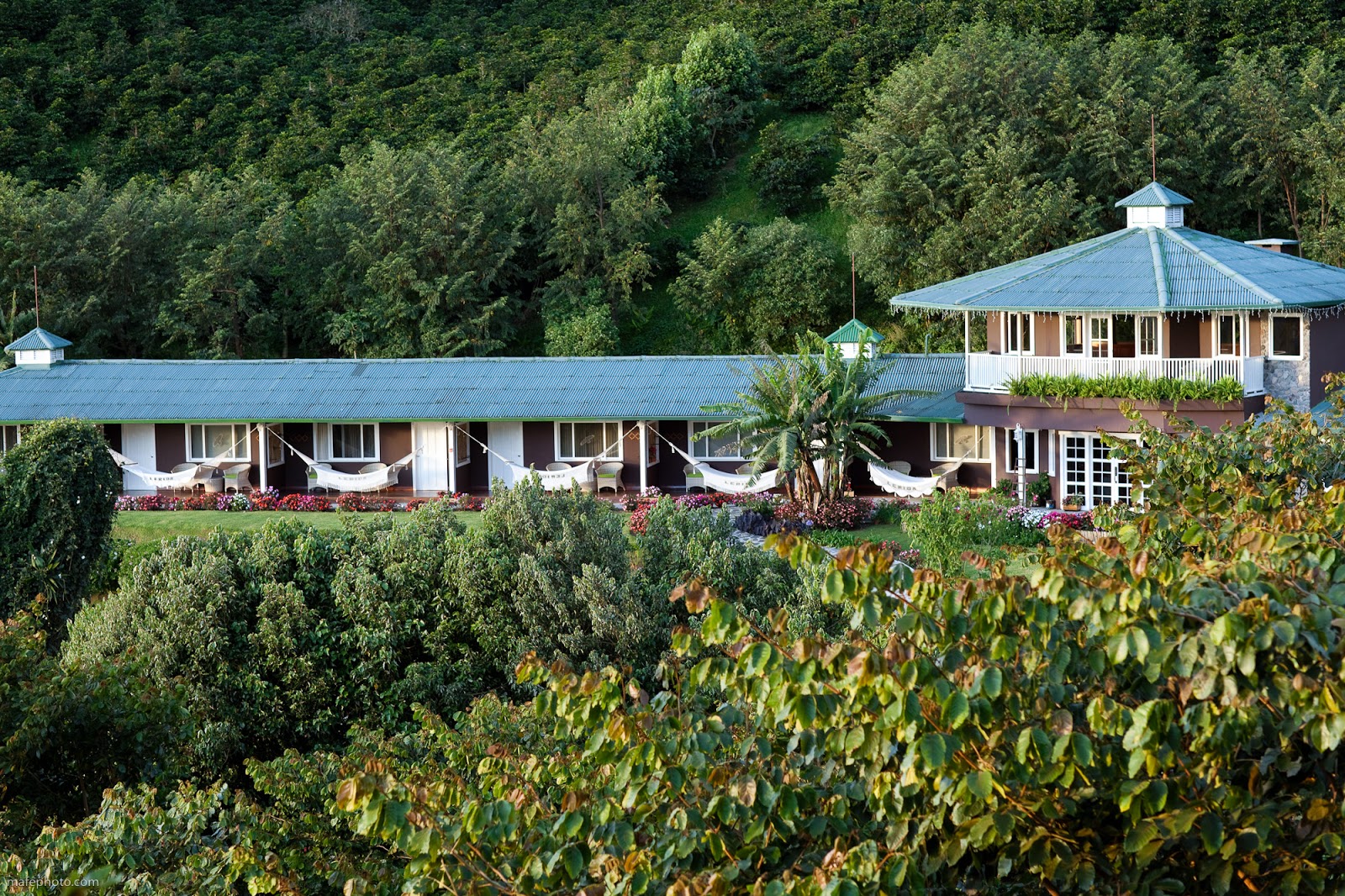 Picture for Finca Lerida