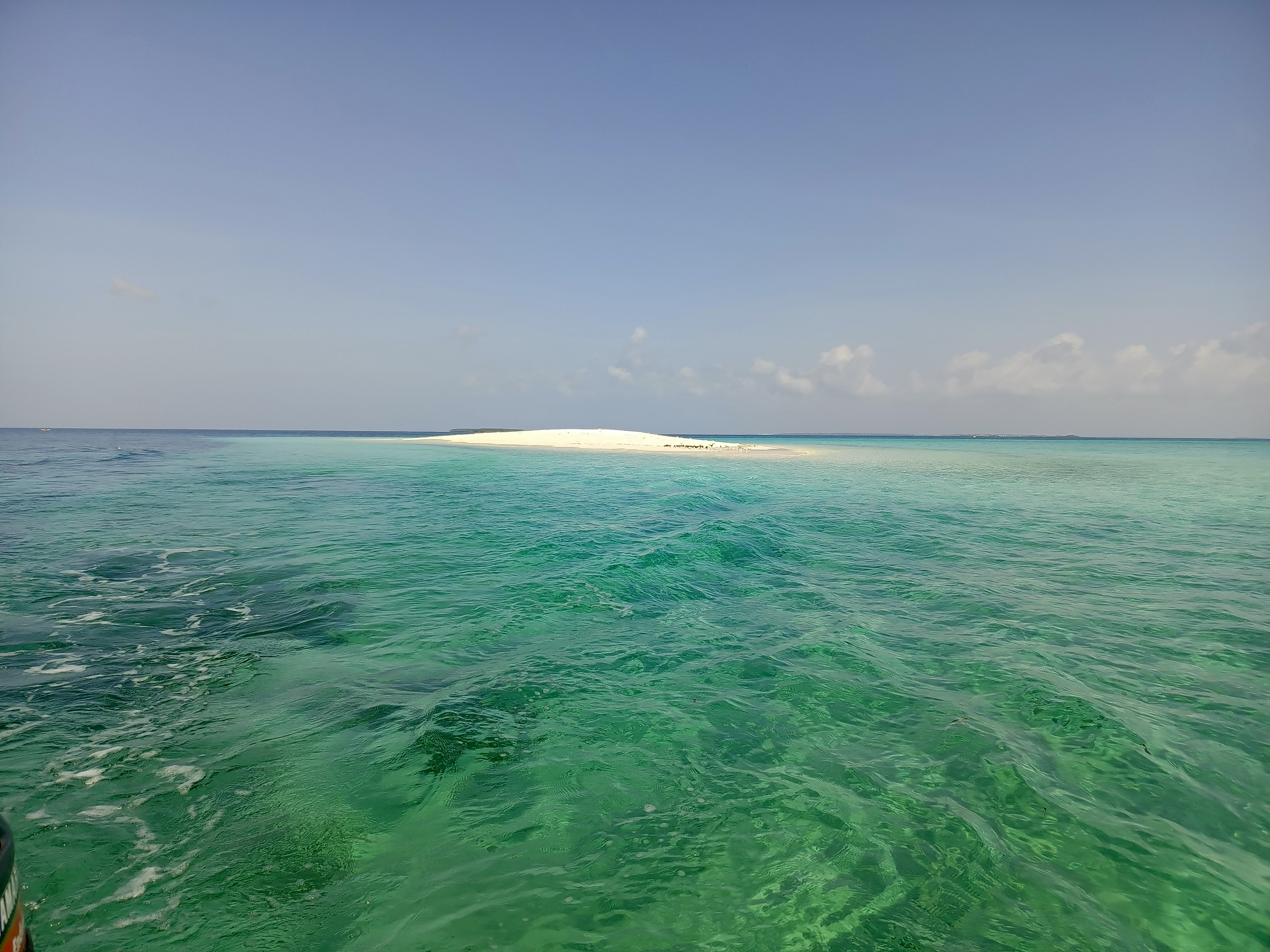 Kizimkazi Dolphin Area