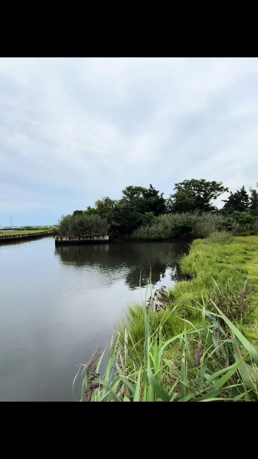 Fire Island
