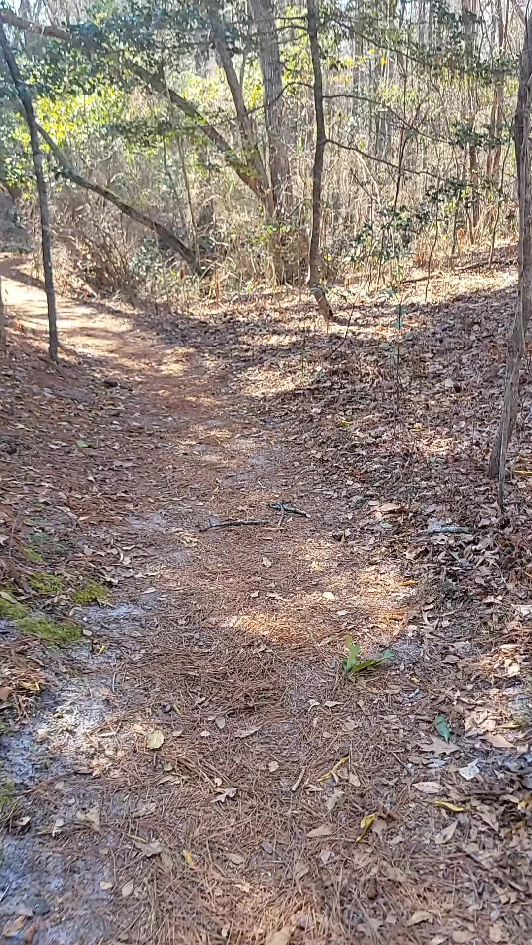 First Landing State Park