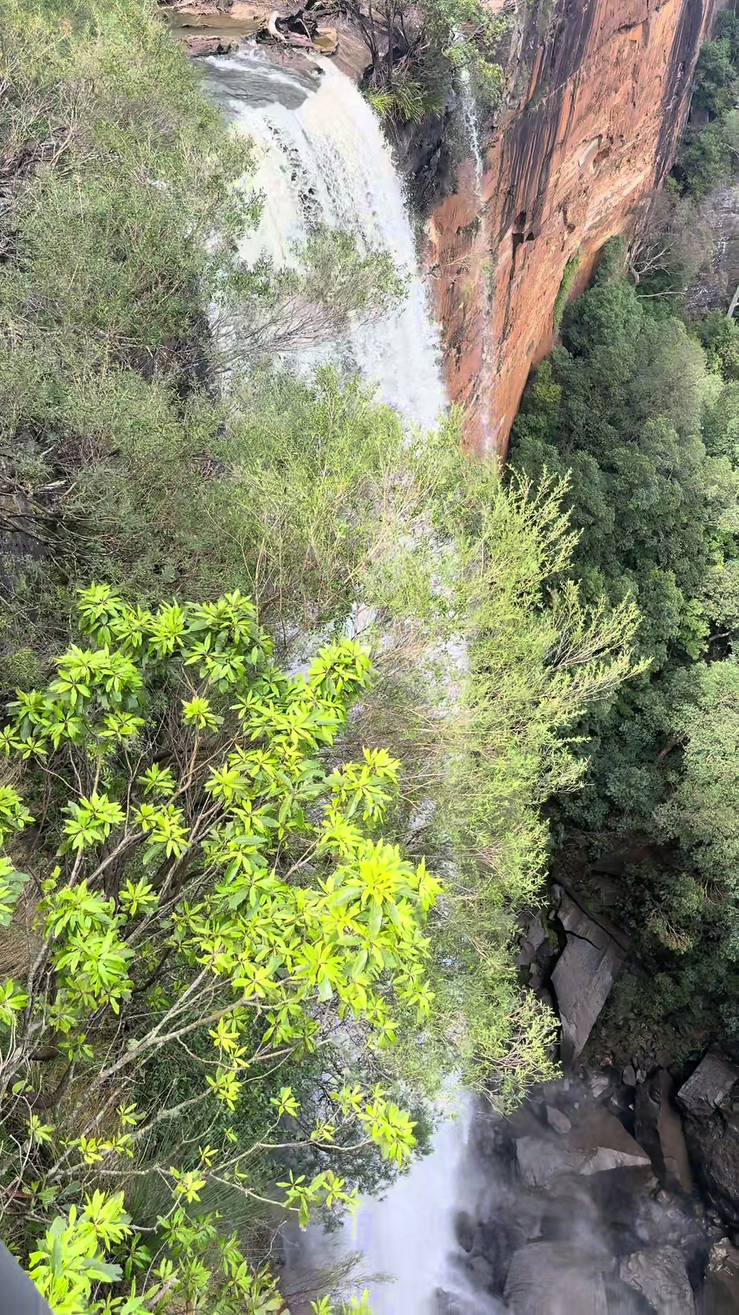 Fitzroy Falls