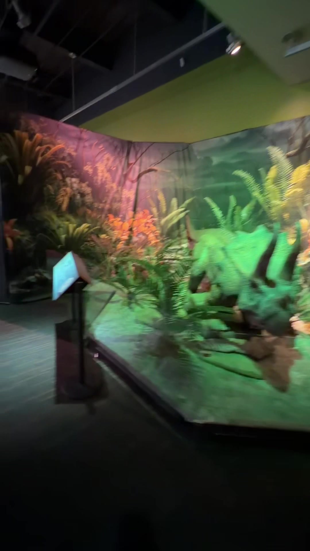 Flint Hills Discovery Center