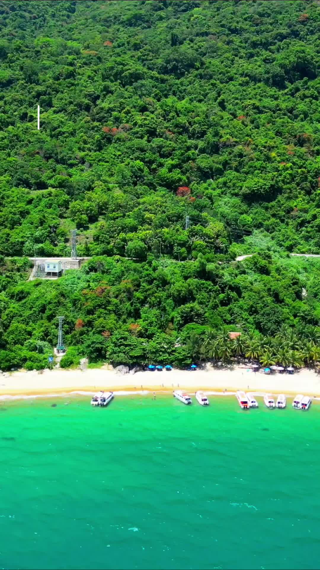 Floating Cham Island area (scenic cruising and swimming)