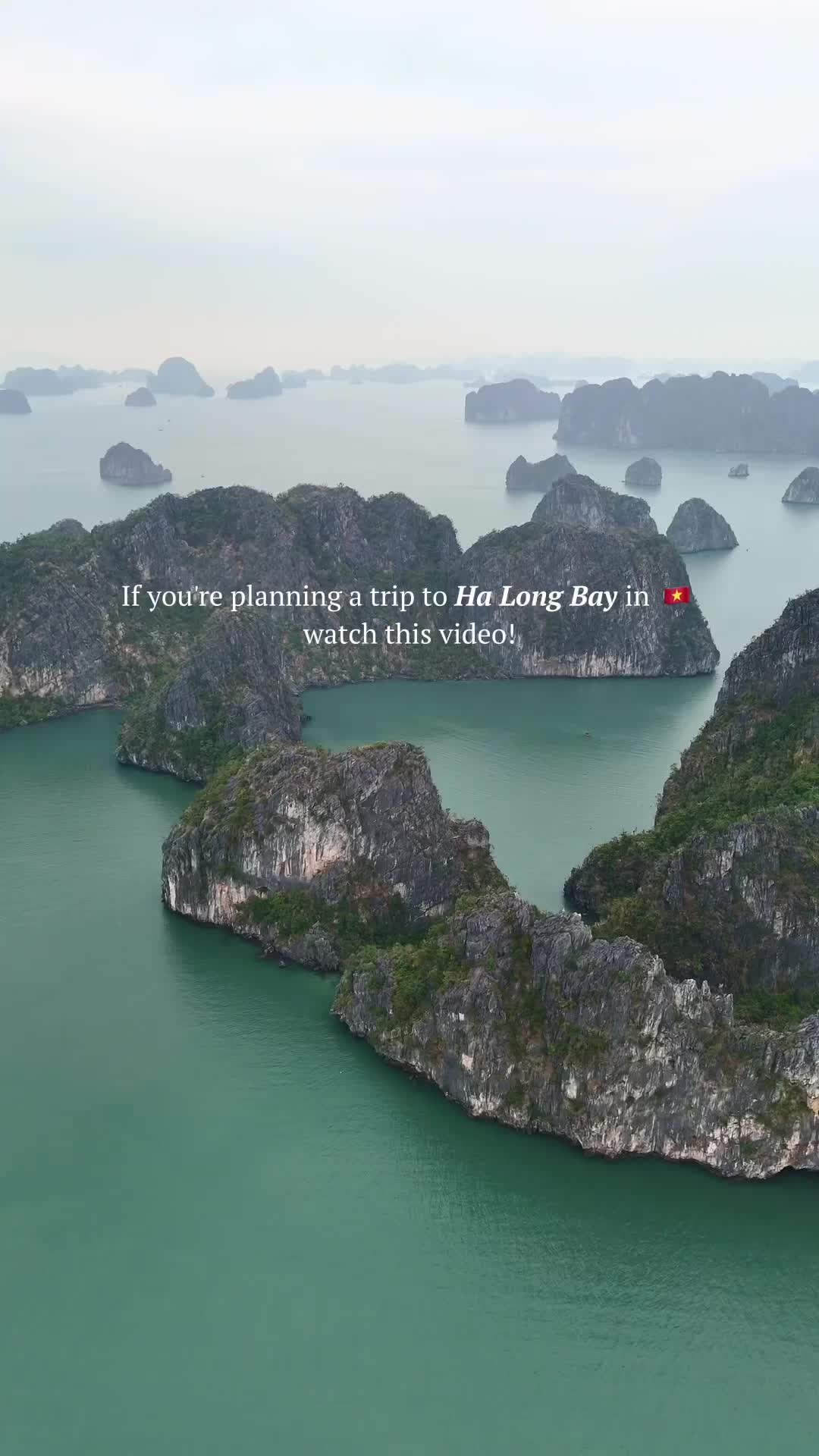 Floating Cham Island area (scenic cruising and swimming)