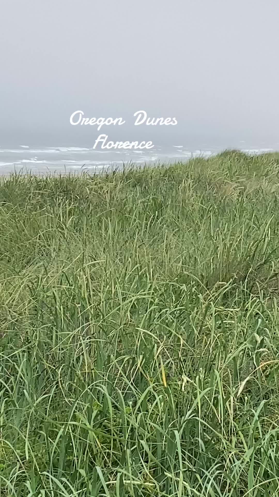 Florence and Oregon Dunes