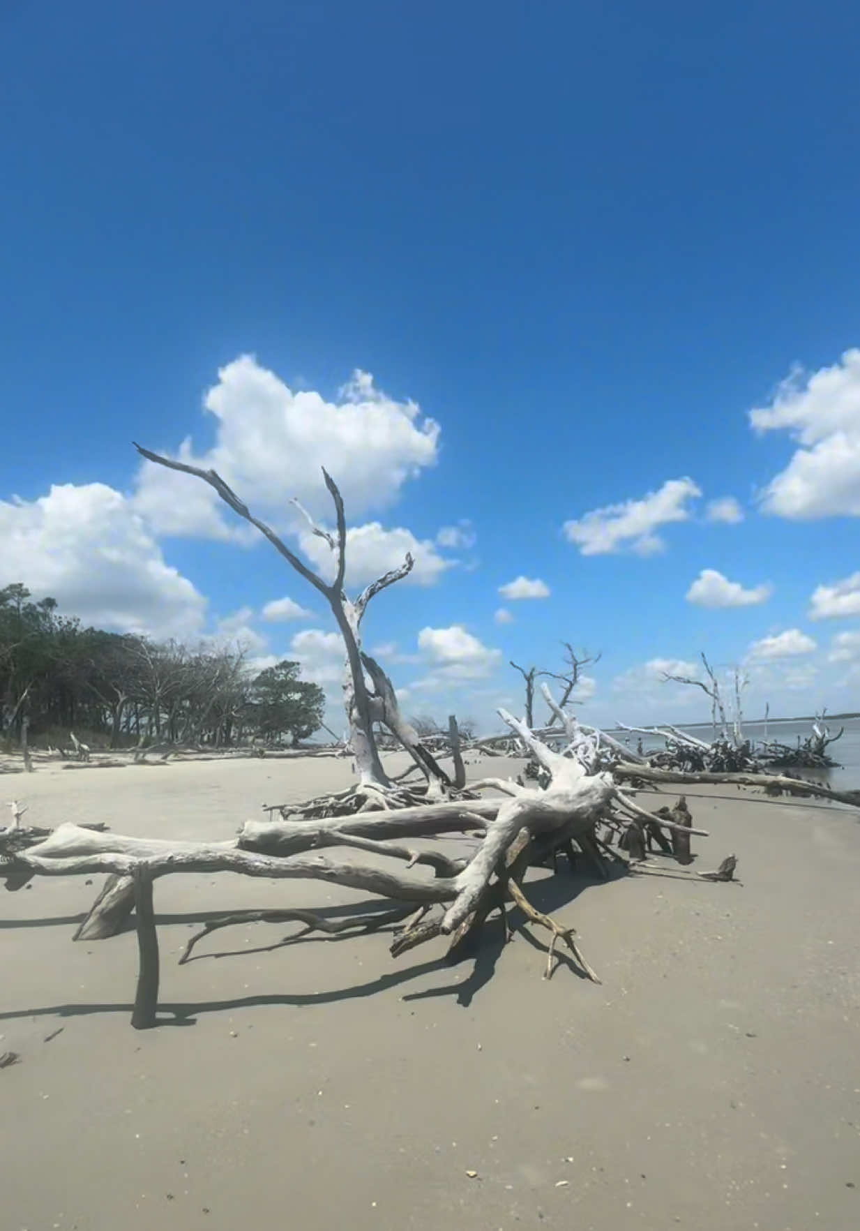 Folly Beach