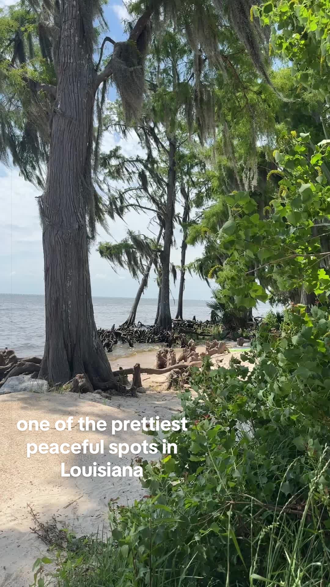 Fontainebleau State Park, Mandeville