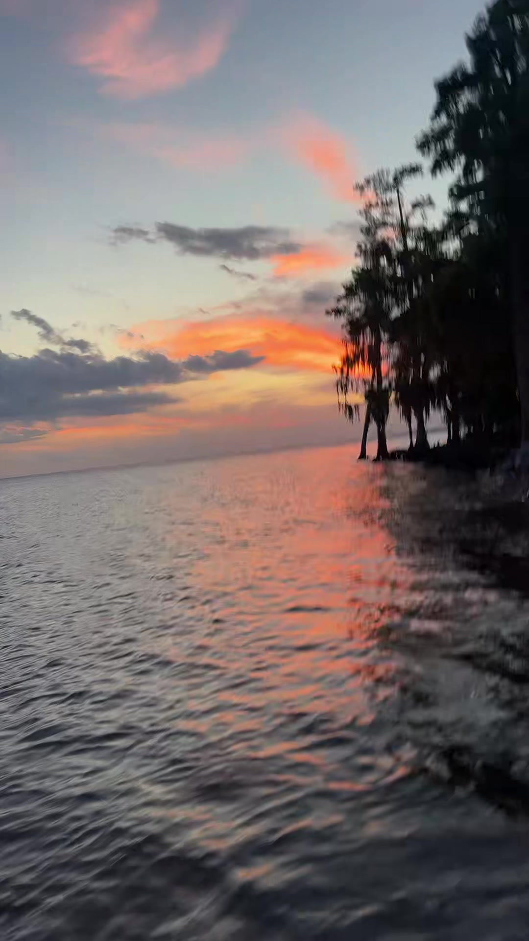 Fontainebleau State Park, Mandeville