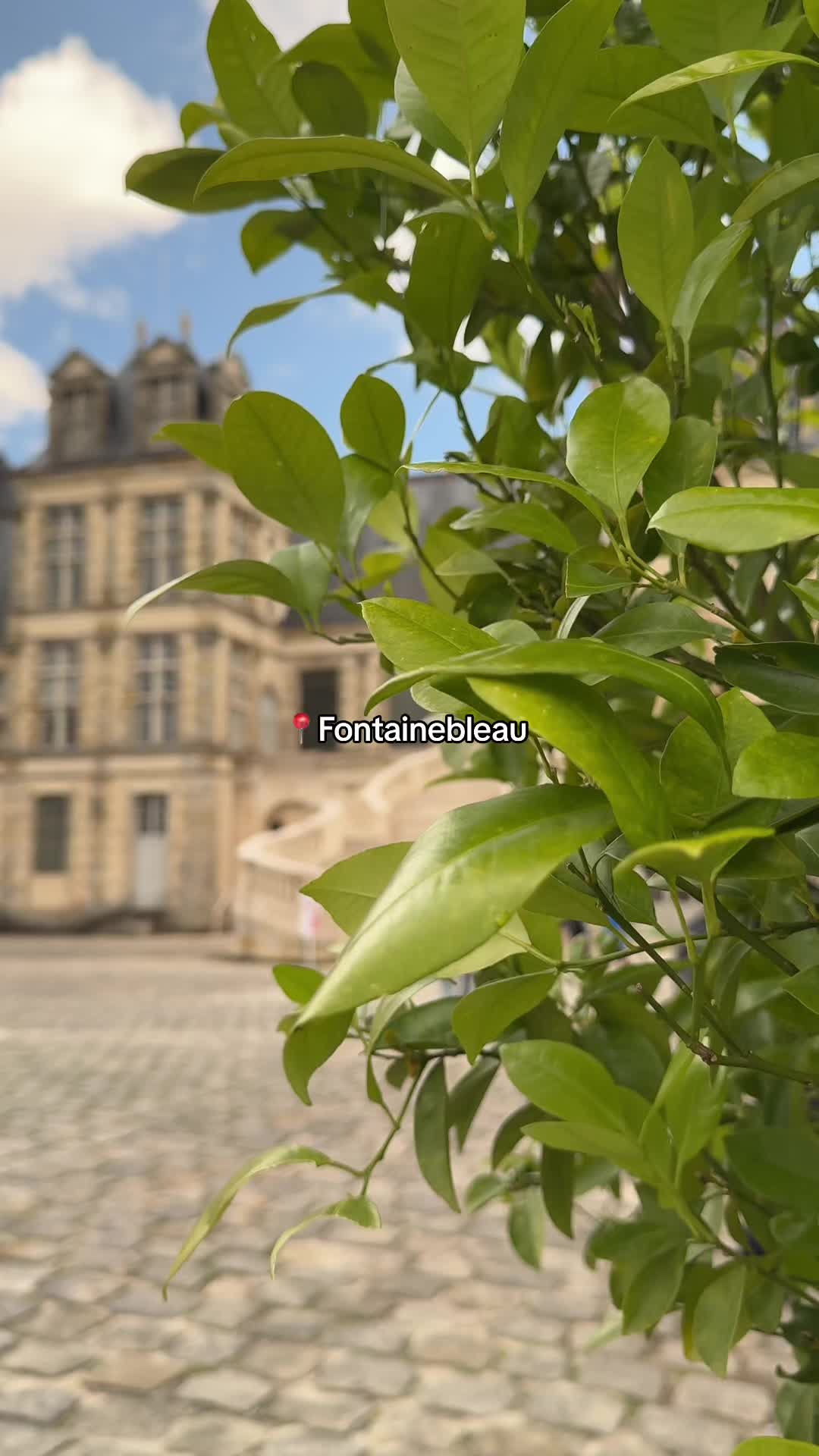 Fontainebleau