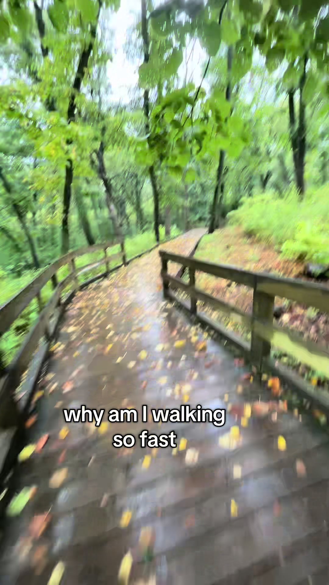 Fontenelle Forest Nature Center