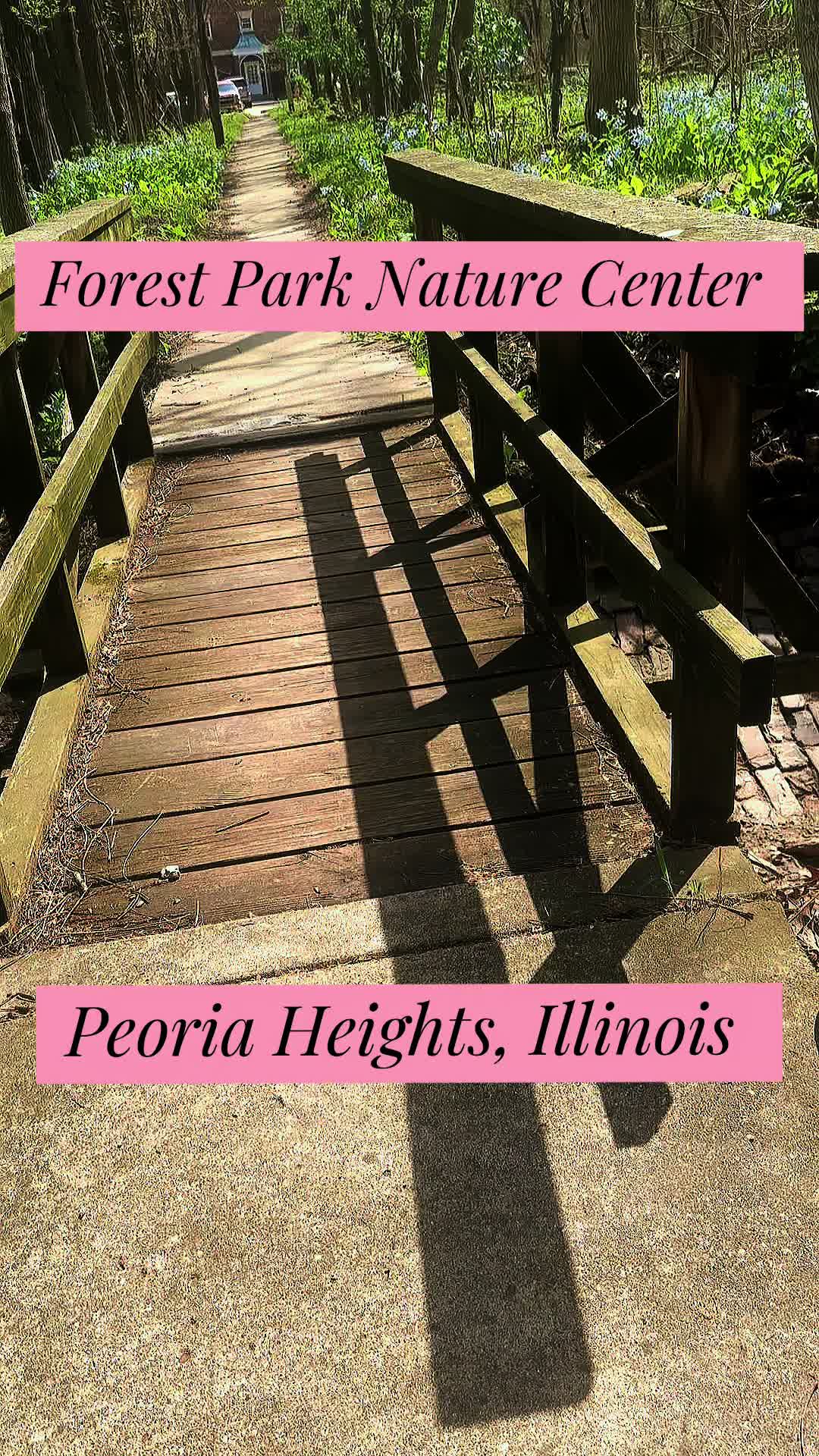 Forest Park Nature Center