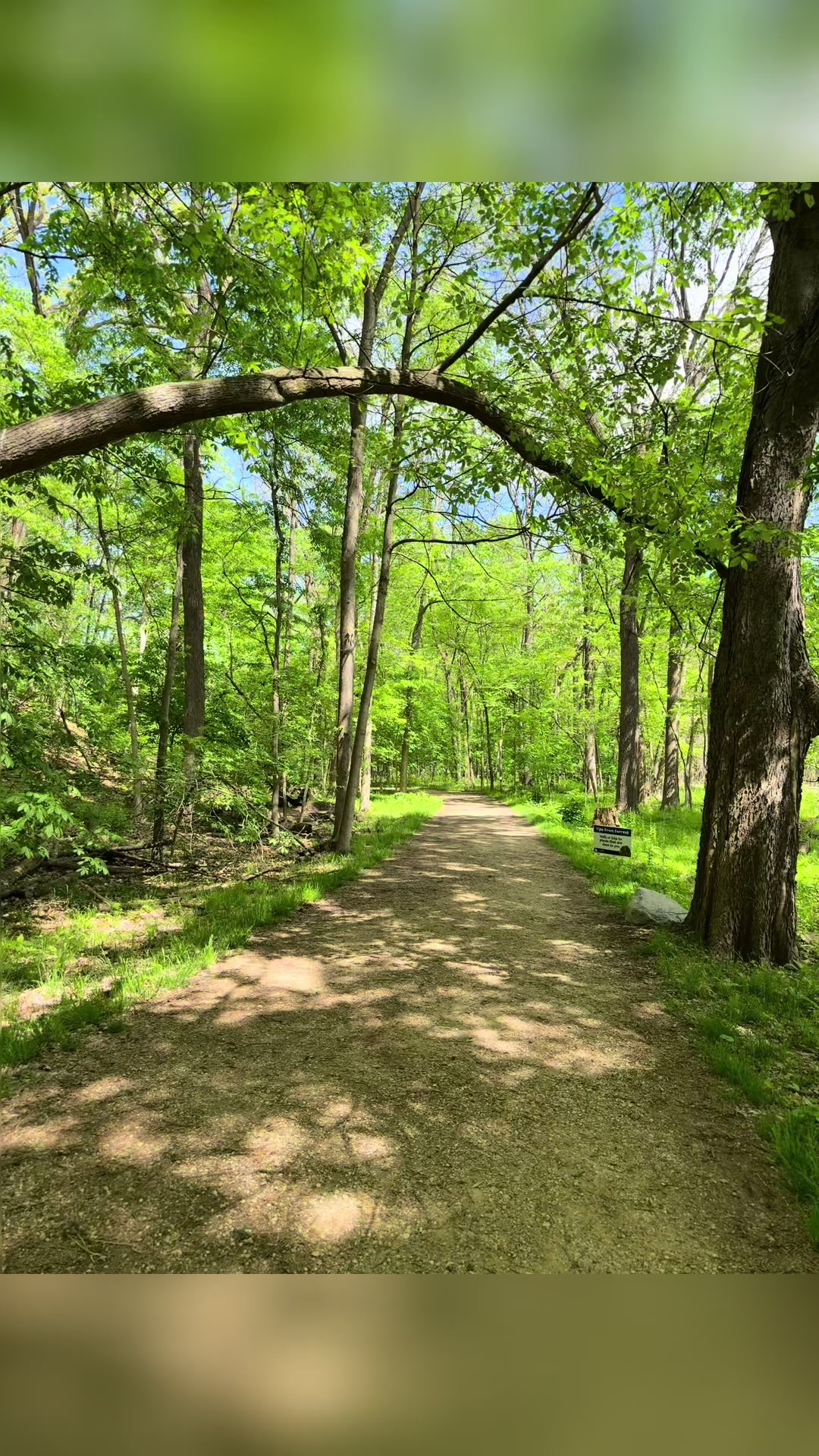 Forest Park Nature Center