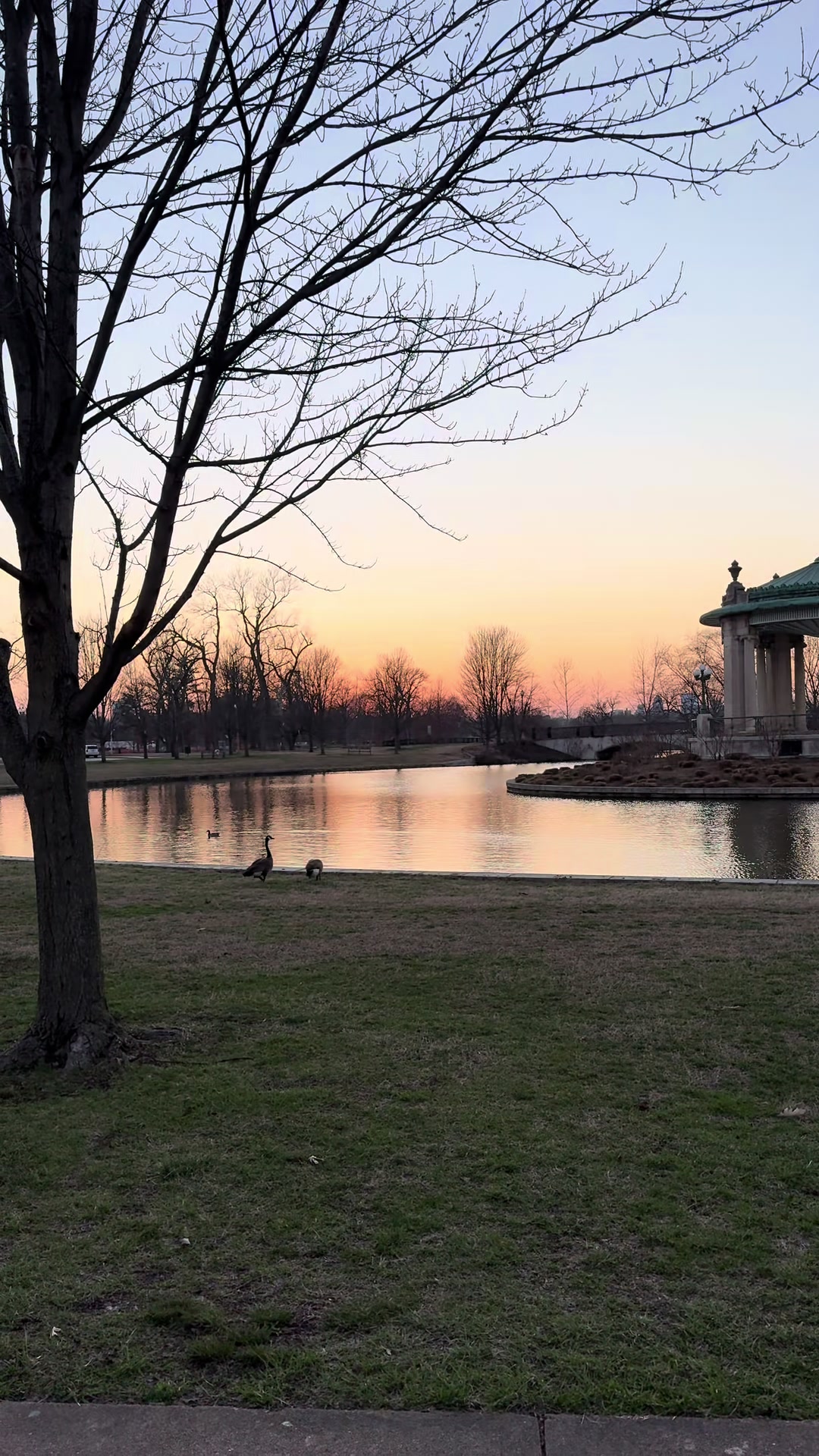 Forest Park