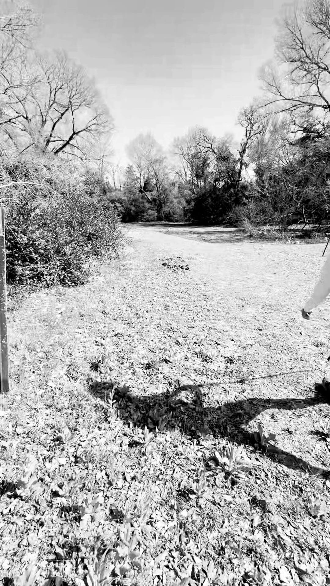 Fort Parker State Park