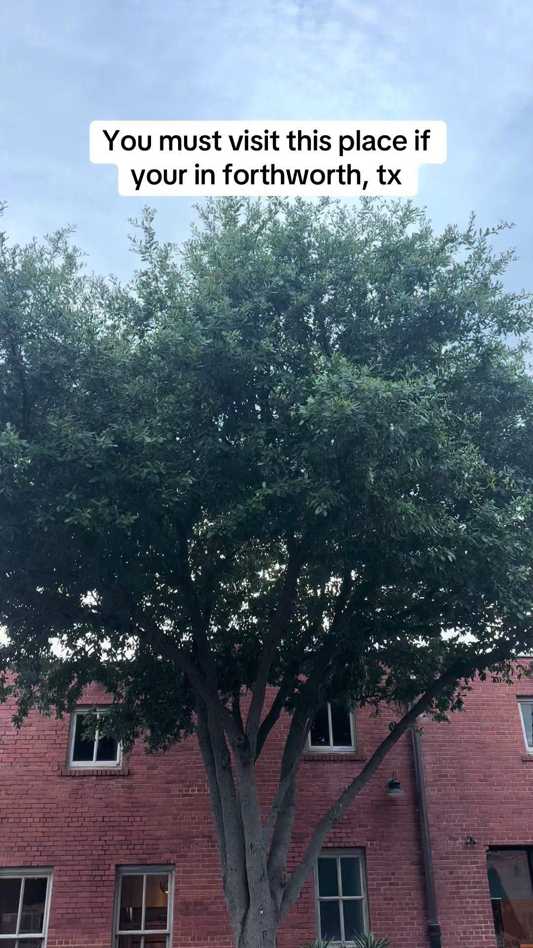 Fort Worth, TX