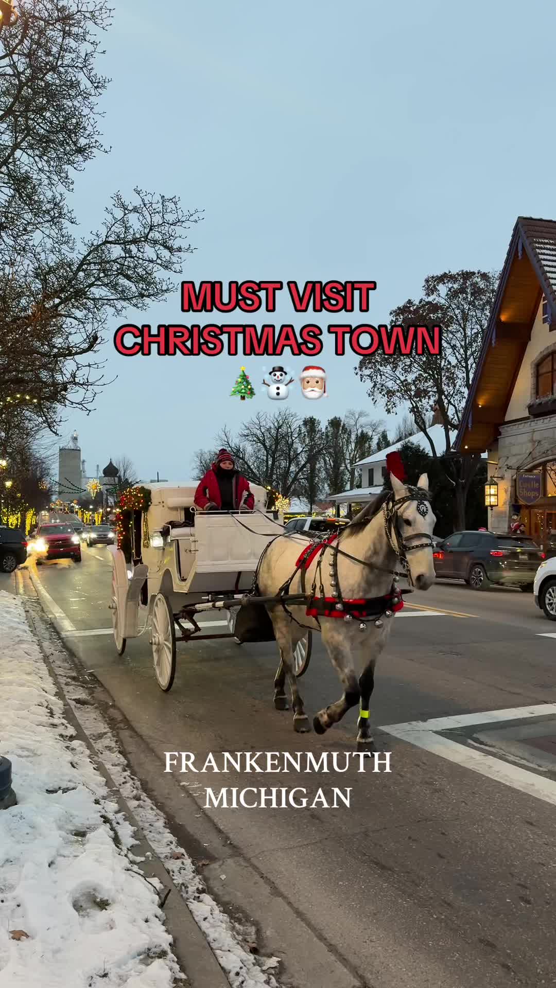 Frankenmuth (Bavarian Inn Village & attractions)