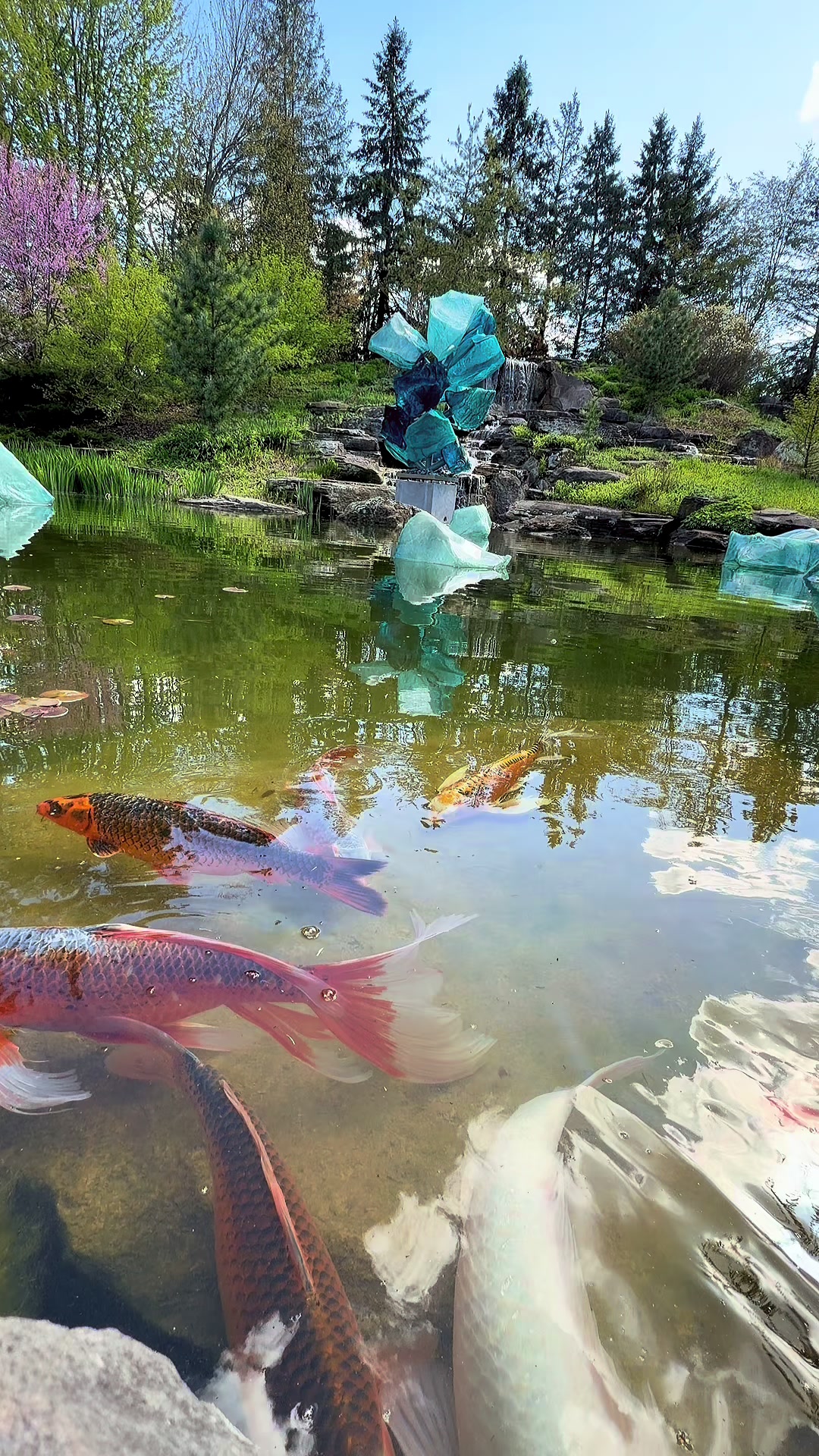Frederik Meijer Gardens & Sculpture Park