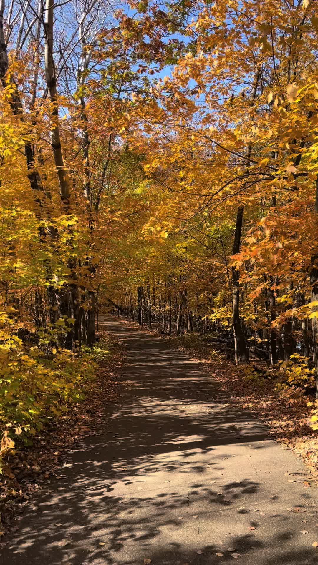 Frontenac State Park, MN