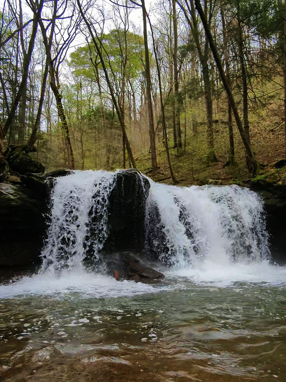 Frozen Head State Park