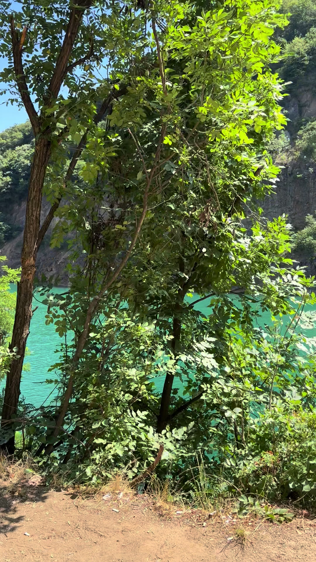 Fruška Gora National Park
