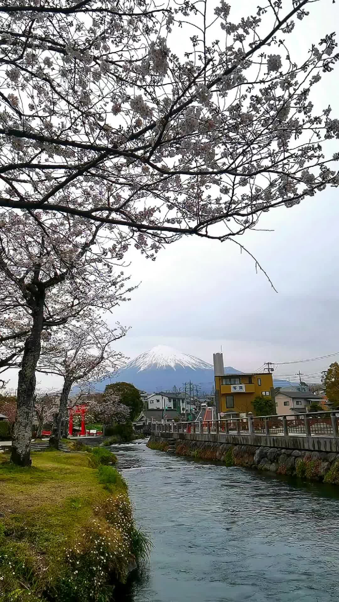 Fujisan World Heritage Center