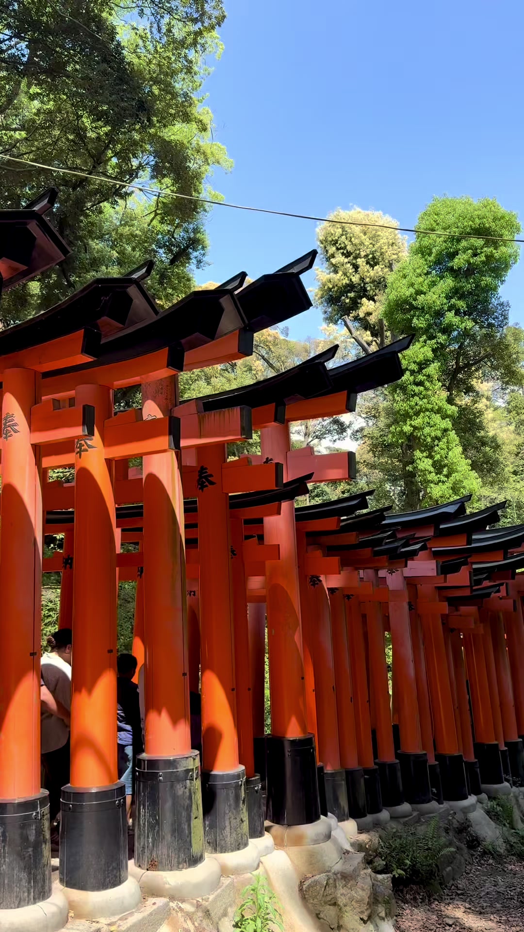 Fushimi Inari Taisha