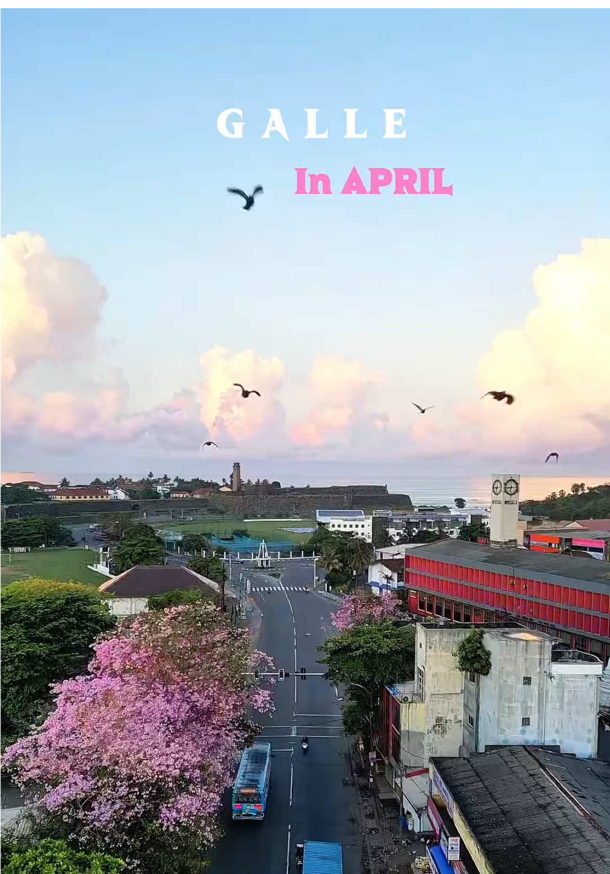Galle