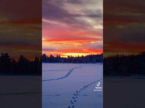 Gällivare