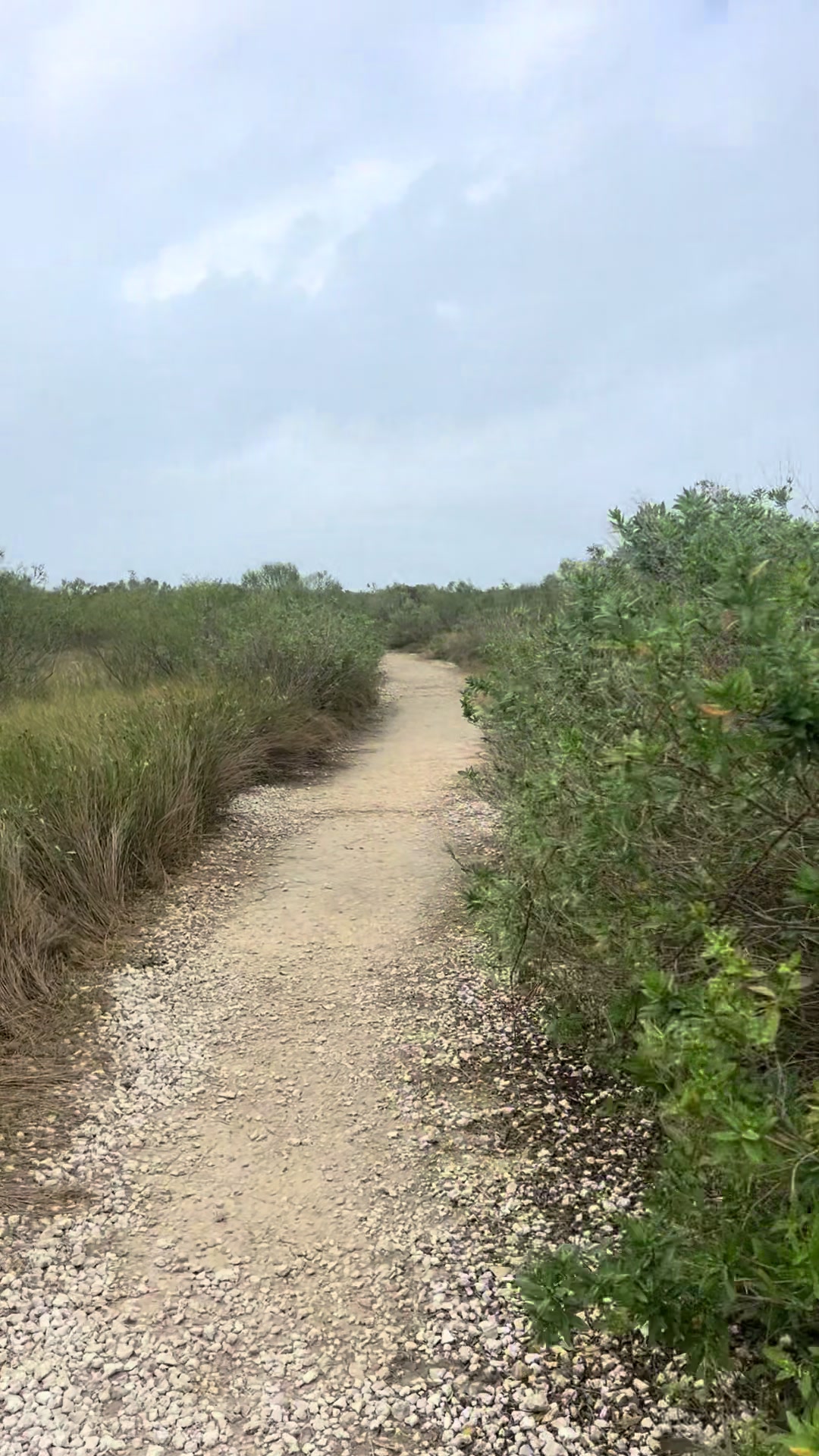 Galveston Island State Park
