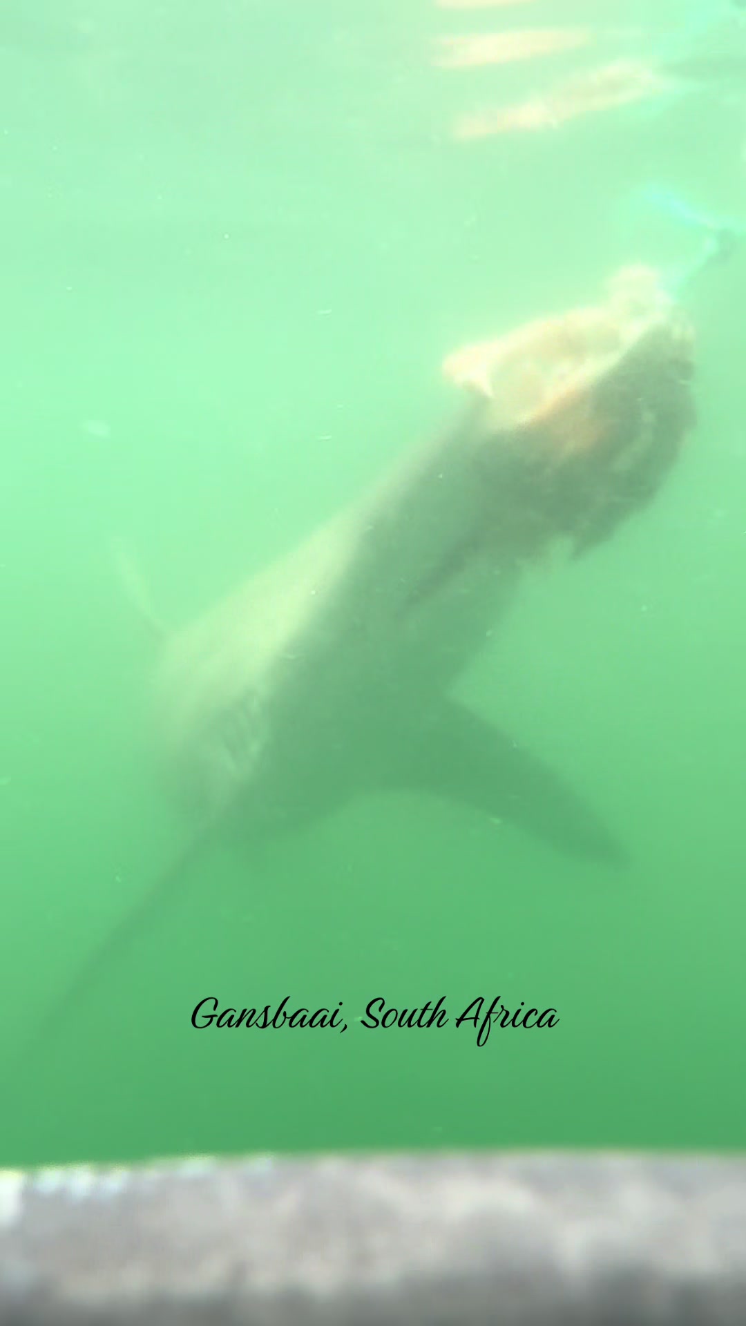 Gansbaai
