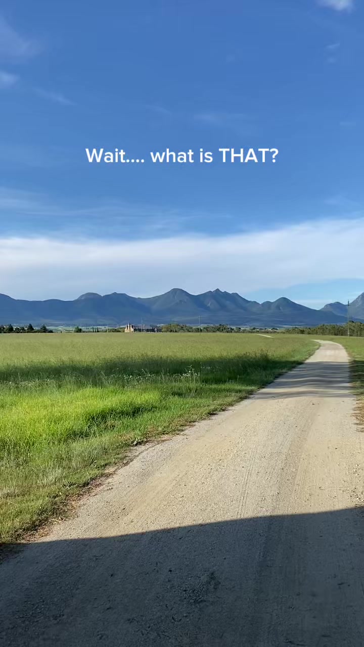 Garden Route